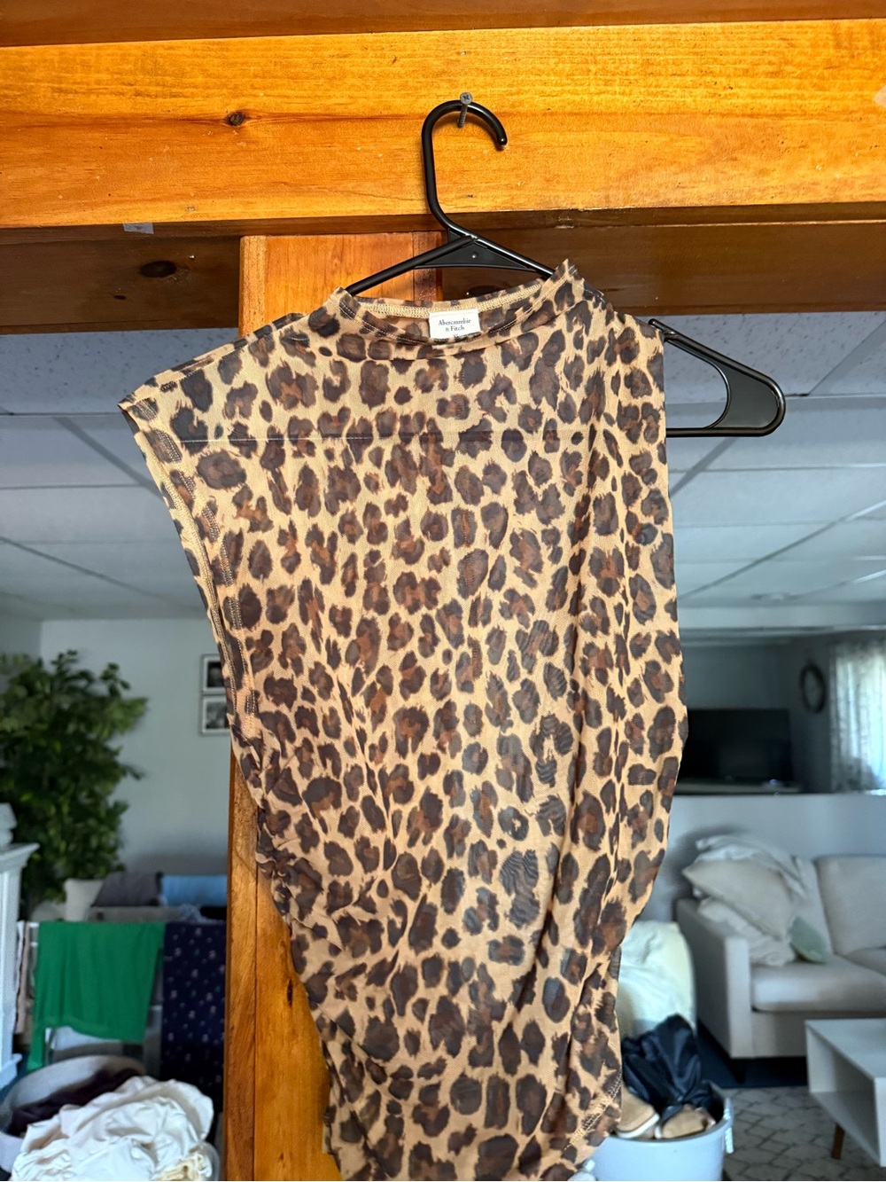 Sheer Abercrombie cheetah top